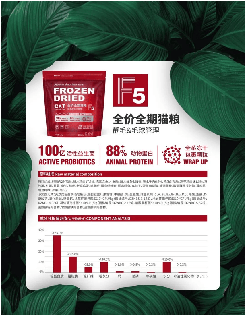 食品品牌上新不断上心永远开元棋牌app豆子熊宠物