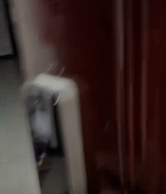 瞥见失落眼神打工人破防忆童年！ky开元棋牌扔玩具支开爱犬关门(图8)