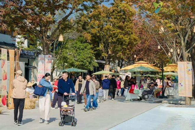 地标——重云巷正式开街!开元ky棋牌宠物友好新(图1) 地标——重云巷正式开街!开元ky棋牌宠物友好新(图1)